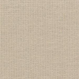 Eclipse - Wheat / beige