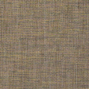 Alcove - Citrus / yellow