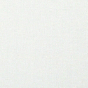 Dynamics - Snow / white