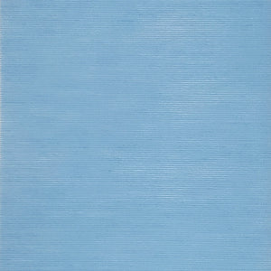 Galilean Moon - Robin Egg / blue