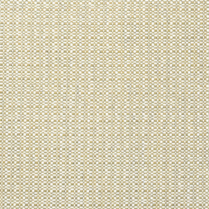 Rustic - Champagne / beige