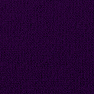 Santa Cruz - Pansy / purple