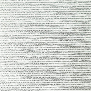 Speed Of Light - Morning Frost / gray