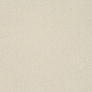 Stonework - Ivory / beige