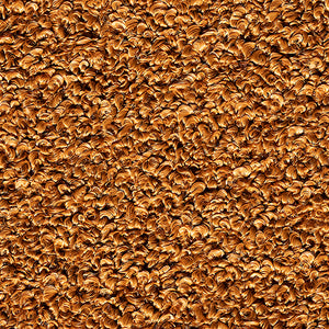 Sylvan - Spice / orange