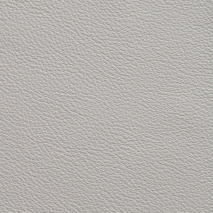 Avion - Albatross / Gray