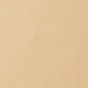 Avion - Champagne / Beige