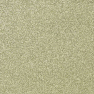 Berkshire - Celery / Green