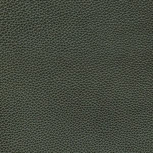 Biltmore - Grey / gray