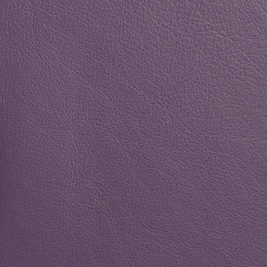 Caressa - Royal Purple / Purple