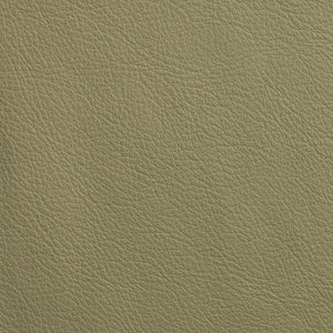 Chatham - Gray Sage / Green