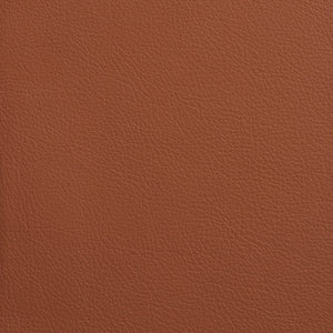 Chatham - Hazelnut / Brown