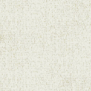 Impart - Coconut / white