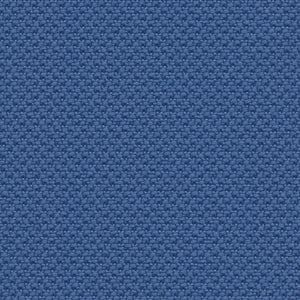 Define - Sea Holly / purple