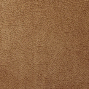 Kenya - Latte / Brown