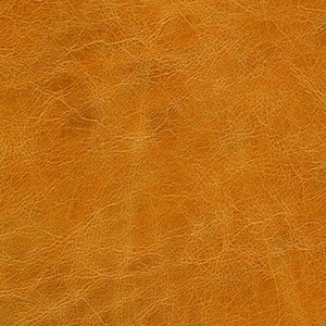 Lodge - New Saddle / orange