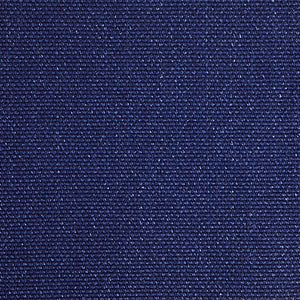 Pinturicchio - 100 / blue