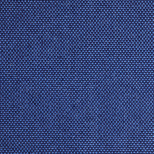 Pinturicchio - 101 / blue