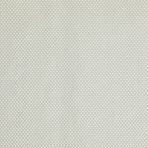 Pinturicchio - 11 / beige