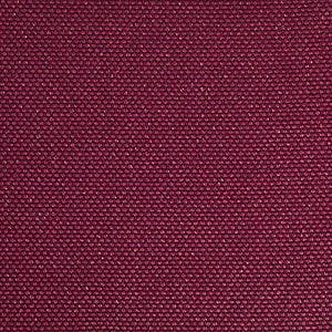 Pinturicchio - 140 / purple