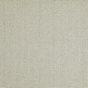 Pinturicchio - 20 / beige