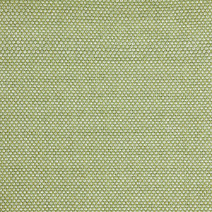 Pinturicchio - 70 / green