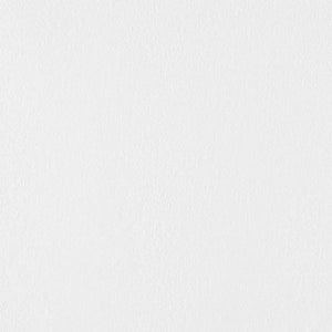 Satin CS 300 - Signal White / white