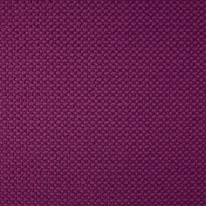 Sierra - Violet / purple