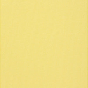 Terra - Light Yellow / yellow