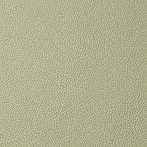 Torino - Lemongrass / Green