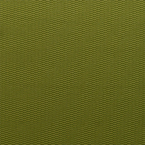 Cosmos - Avocado / green