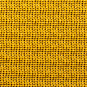 Cross Check R - Dijon / yellow