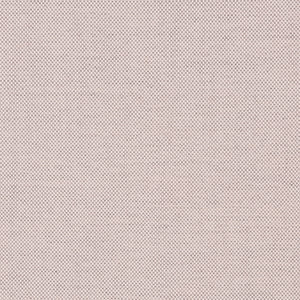 Plateau - Daybreak / white