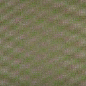 Pompeii - Sagebrush / green