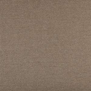 Pompeii - Smoked Olive / gray