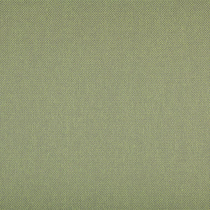 Pompeii - Spring / green