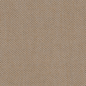 Sandbar - Beach / brown