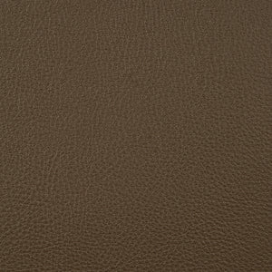 Syntonic - Café / brown