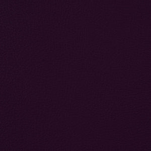 Syntonic - Eggplant / purple