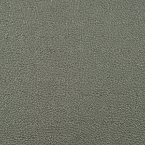 Syntonic - Nickel / grey