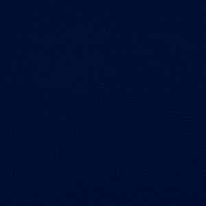 Syntonic - Ultramarine / blue