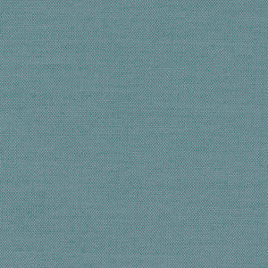 Watershed - Cactus / blue